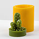 Silicone mold for soap 'Cactus 2 3D', Form, Shahty,  Фото №1