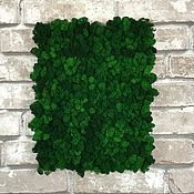 Материалы для творчества handmade. Livemaster - original item Panel made of real moss 30*40 cm. Handmade.