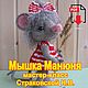   Мышка Манюня, Схемы для вязания, Томск,  Фото №1