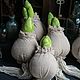 Interior hyacinth bulbs. Stuffed Toys. Secret Jar. My Livemaster. Фото №4