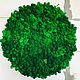 Round phytocartin made of stabilized moss 50 cm, Fitokartins, Belgorod,  Фото №1
