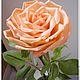 Керамическая флористика. Персиковая роза, Цветы, Самара,  Фото №1