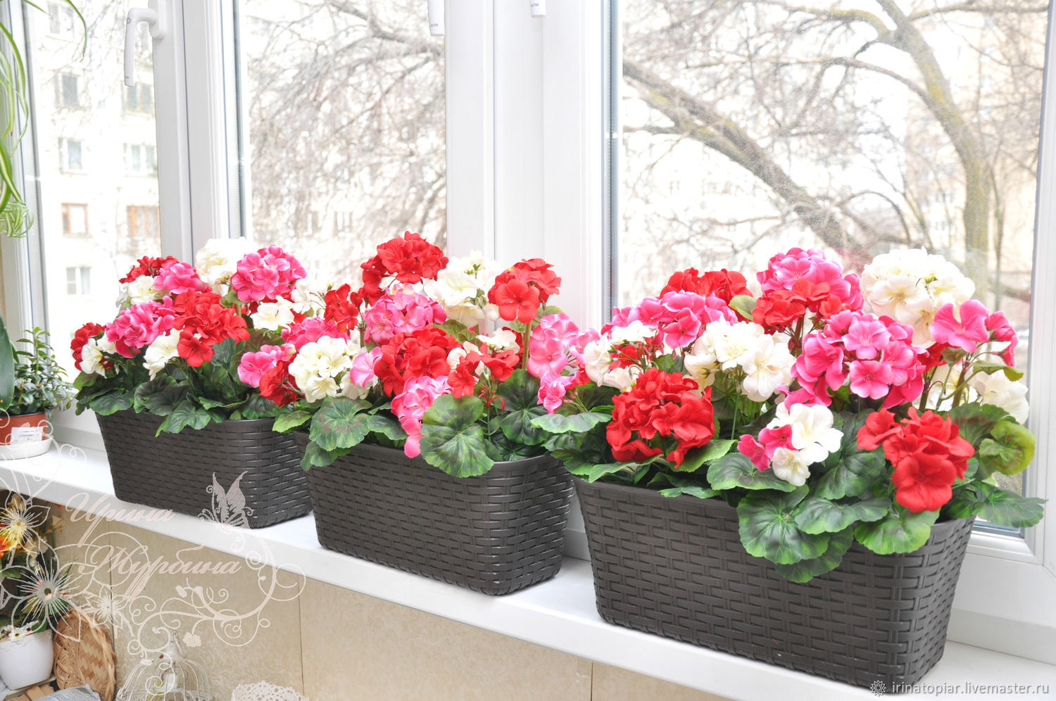 Цветы в балконных ящиках фото