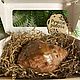 Мыло ручной работы "Ракушка морская большая". Мыло. Morseau de Savon (Кусочек мыла) (natalya-volchanskaya). Интернет-магазин Ярмарка Мастеров.  Фото №2