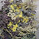 A bouquet of dried flowers.Oregano.thistle. wormwood. herbs. Bouquets. Ekostil. My Livemaster. Фото №4
