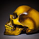 Skull. Цветная коллекция. Скульптуры. Nelly Ertceva. Ярмарка Мастеров.  Фото №8