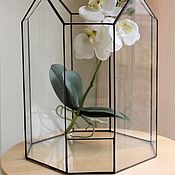 Цветы и флористика handmade. Livemaster - original item The Floriana. Greenhouse for orchidarium. Large Floriana. Handmade.