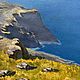 Картины для интерьера маслом. Море. Крым. Картины. Astilba. Ярмарка Мастеров.  Фото №5