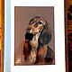  Dog Dachshund. Original. Pastel. Pictures. Valeria Akulova ART. My Livemaster. Фото №4
