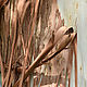 Кора эвкалипта. Природные материалы. Dikoflora. Ярмарка Мастеров.  Фото №6