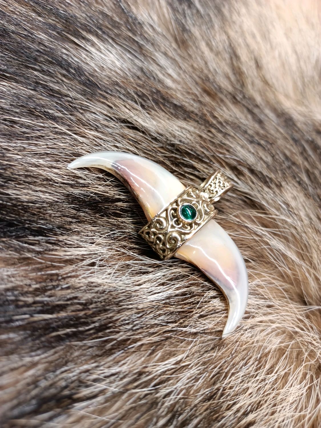 коготь рыси оберег. когти рыси. амулет коготь рыси. украшения из медвежьих когтей. длина когтей рыси.