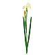 Iris artificial. Plants. best-coll-mos. Online shopping on My Livemaster.  Фото №2