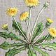 'Ordinary dandelion', art surface, embroidered picture. Pictures. Irina  Art embroidery. My Livemaster. Фото №5