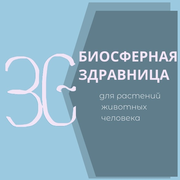 Мой профиль