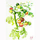 Картина на кухню с помидорами, Картины, Ярославль,  Фото №1