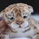 Soft toys: Realistic tiger cub. Stuffed Toys. KravetsTatyana. My Livemaster. Фото №4