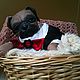 Reborn-Pug ,Princesa (1). Reborn. Doll's Paradise (Lyudmila79). My Livemaster. Фото №5