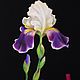 Painting pastel iris 
Curtin colors 
Buy painting
