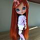 Заказать Блайз, кукла Блайз, Blythe, artdoll, custom Blythe. Agnessa. Ярмарка Мастеров. . Кукла Кастом Фото №3