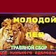 Молодой лев. Мужской чай. Травы. ТРАВЯНКА. Интернет-магазин Ярмарка Мастеров.  Фото №2