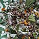 Order Cleansing tea with Jerusalem artichoke flowers and leaves. Dary Prirody. Livemaster. . Tea and Coffee Sets Фото №3