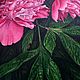 Заказать Пионы Интерьерная картина. Dashing Art (dariapankratova). Ярмарка Мастеров. . Картины Фото №3