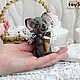 Котик Дымок Мороженкин мини тедди. Серия Кармашкины. 10см. Мягкие игрушки. Toyssoul (CorelZO). Ярмарка Мастеров.  Фото №6