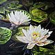  Лилии в пруду, Картины, Ангарск,  Фото №1