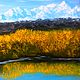 Аляска. Гора Денали, Картины, Улан-Удэ,  Фото №1