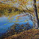 Прошлогодняя Осень...40*50, Картины, Елец,  Фото №1