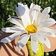 Браслет " Ромашковое лето". Браслет из бусин. Sezam.Flowers. Ярмарка Мастеров.  Фото №5
