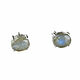 Earrings with labrador, stud earrings, stud earrings with stone, Stud earrings, Moscow,  Фото №1