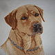 Embroidered picture "Labrador Retriever". Pictures. Mashkin stuff. Online shopping on My Livemaster.  Фото №2