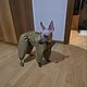 Заказать Одежда для собак "Ветровка теплая для  собак". Happy-Sphynx. Ярмарка Мастеров. . Одежда для питомцев Фото №3