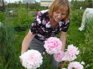 Елена козлова ландшафтный дизайн