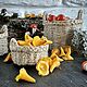Грибы лисички игрушечная еда кукольная миниатюра еда для кукол глина. Кукольная еда. KOTOMKA_NV кукольная миниатюра 1:12. Ярмарка Мастеров.  Фото №8