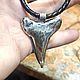 Pendant with a fossilized shark tooth. Pendant. Elena Shevchenko  jeweller (odoli). My Livemaster. Фото №4