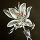 Picture White Lily on black, Pictures, Omsk,  Фото №1