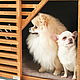 Cabinet, house, aviary Safe Home Wood Gray for large and small dogs. Aviaries. mebelzhivotnih (teddyroommebel). My Livemaster. Фото №4
