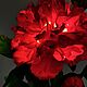 Flower-night light 'Terry peony' in red. Nightlights. Elena Krasilnikova. My Livemaster. Фото №5