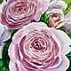 Картина акварельные пионовидные розовые розы в саду. Картины. MarselArt. Интернет-магазин Ярмарка Мастеров.  Фото №2