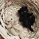 Felted Fluffy Exotic Kittens. Felted Toy. Vintage Teddys House. My Livemaster. Фото №5