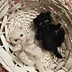 Валяные пушистые котята Экзоты. Войлочная игрушка. Юркина Марина. Ярмарка Мастеров.  Фото №5