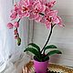 Орхидея из бисера, Цветы, Краснодар,  Фото №1