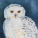 Owl oil painting, Pictures, Moscow,  Фото №1