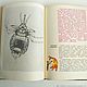 Stories about insects book from the series the World of animals, 1975. Vintage books. Ulitka. My Livemaster. Фото №6