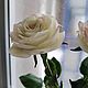 Белые розы из полимерной глины, Букеты, Санкт-Петербург,  Фото №1