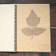 Herbarium album on a spring Shebbi (13 light sheets). Photo albums. Albums and notebooks (Anna). My Livemaster. Фото №4
