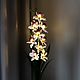 Order Flower-nightlight of cattleya orchid 'Asteria'. Elena Krasilnikova. Livemaster. . Nightlights Фото №3