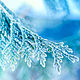 FROSTED JUNIPER (МОРОЗНЫЙ МОЖЖЕВЕЛЬНИК) CandleScience, Ароматизаторы, Самара,  Фото №1